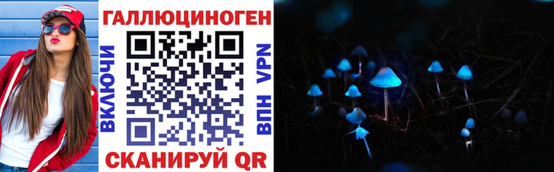 купить наркотики цена  площадка состав  Галлюциногенные грибы Psilocybine cubensis  Петровск-Забайкальский  ссылка на мегу ССЫЛКА 
