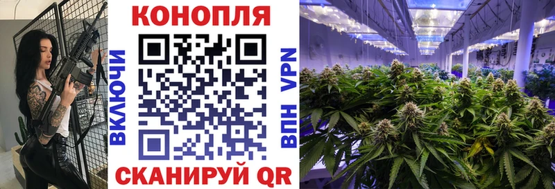 наркотики mega рабочий сайт Конопля LSD WEED Петровск-Забайкальский